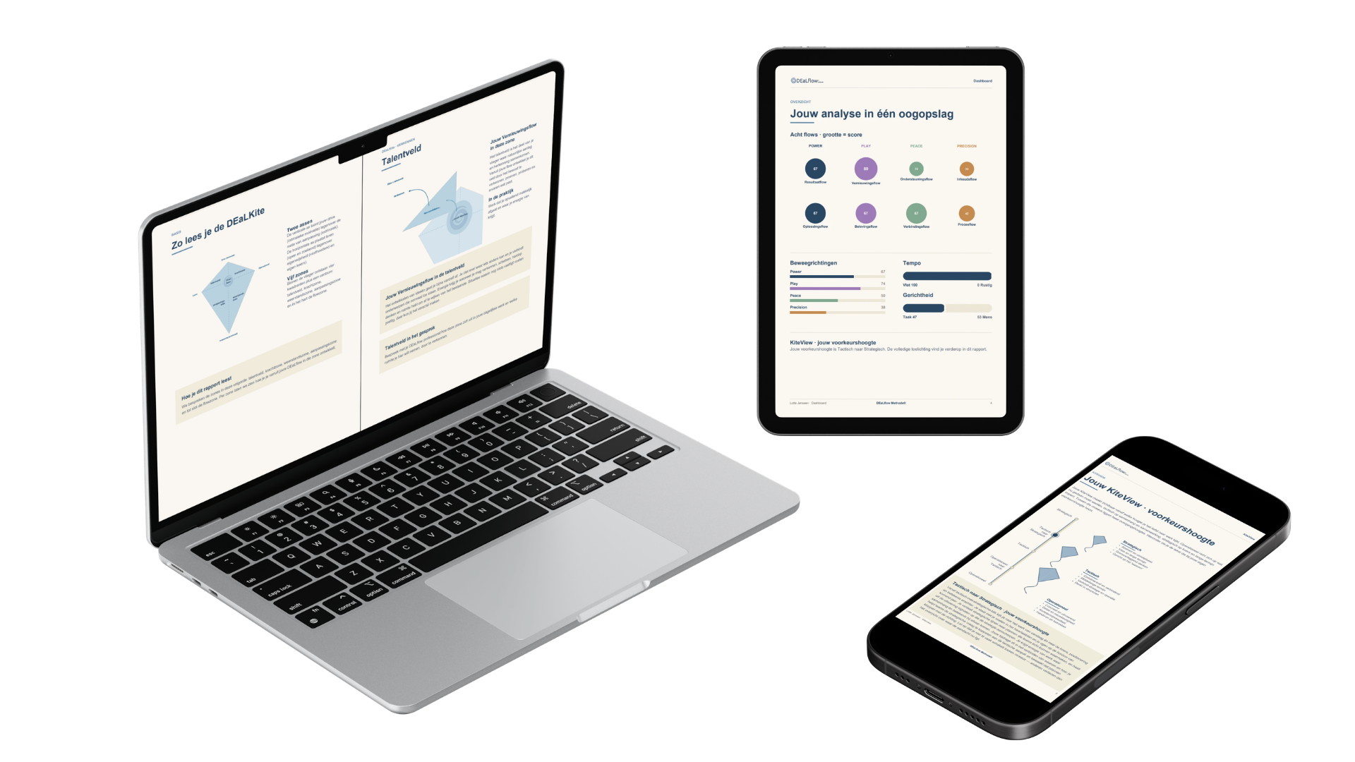 DEaLflow Analyse rapport op laptop, tablet en telefoon